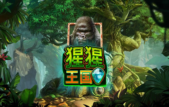 pp体育官网TV下载